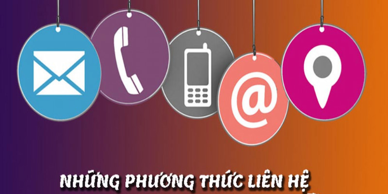 liên hệ 3king